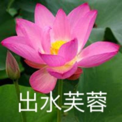 一品大宰相兑换码版下载